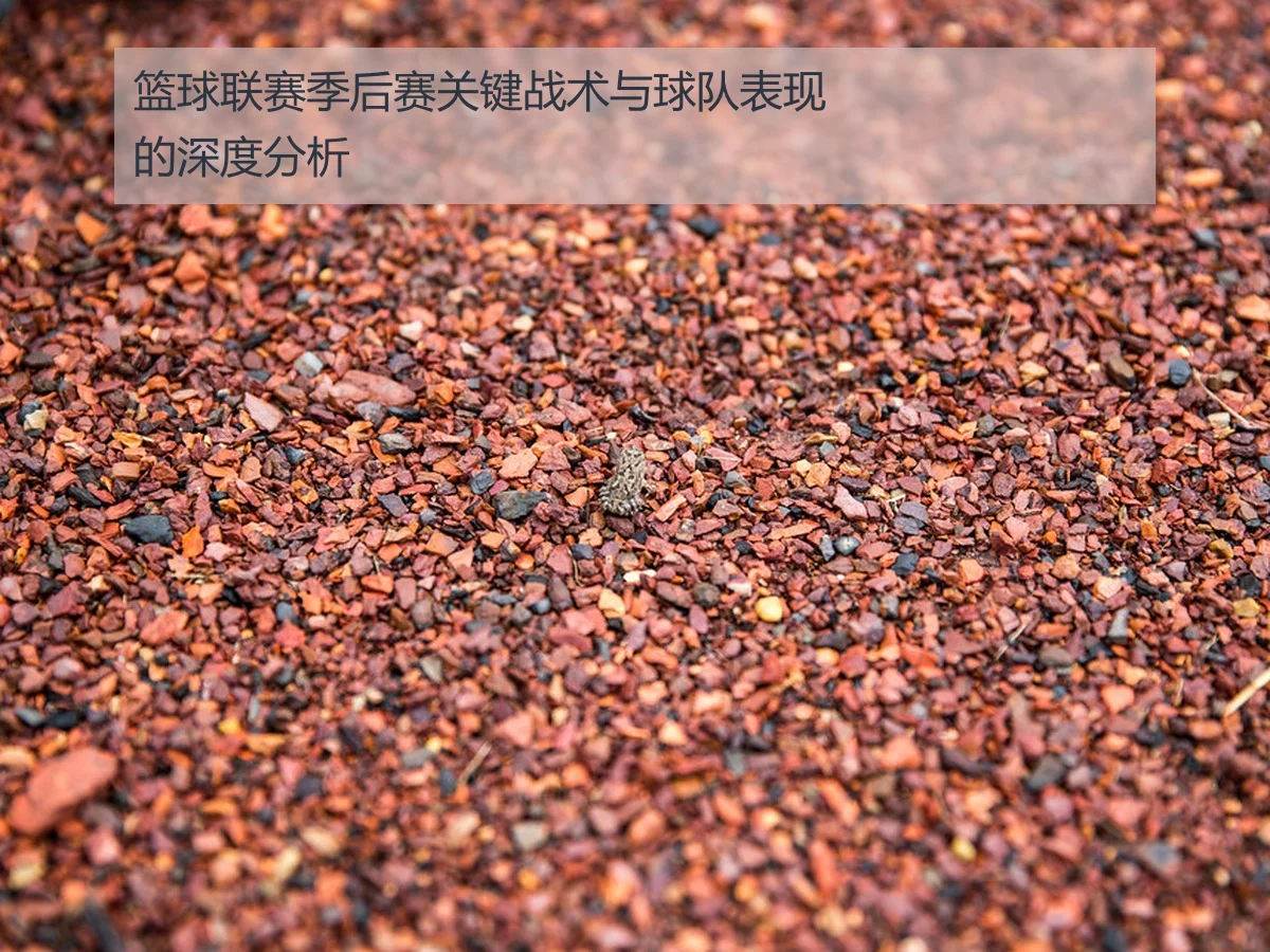 篮球联赛季后赛关键战术与球队表现的深度分析