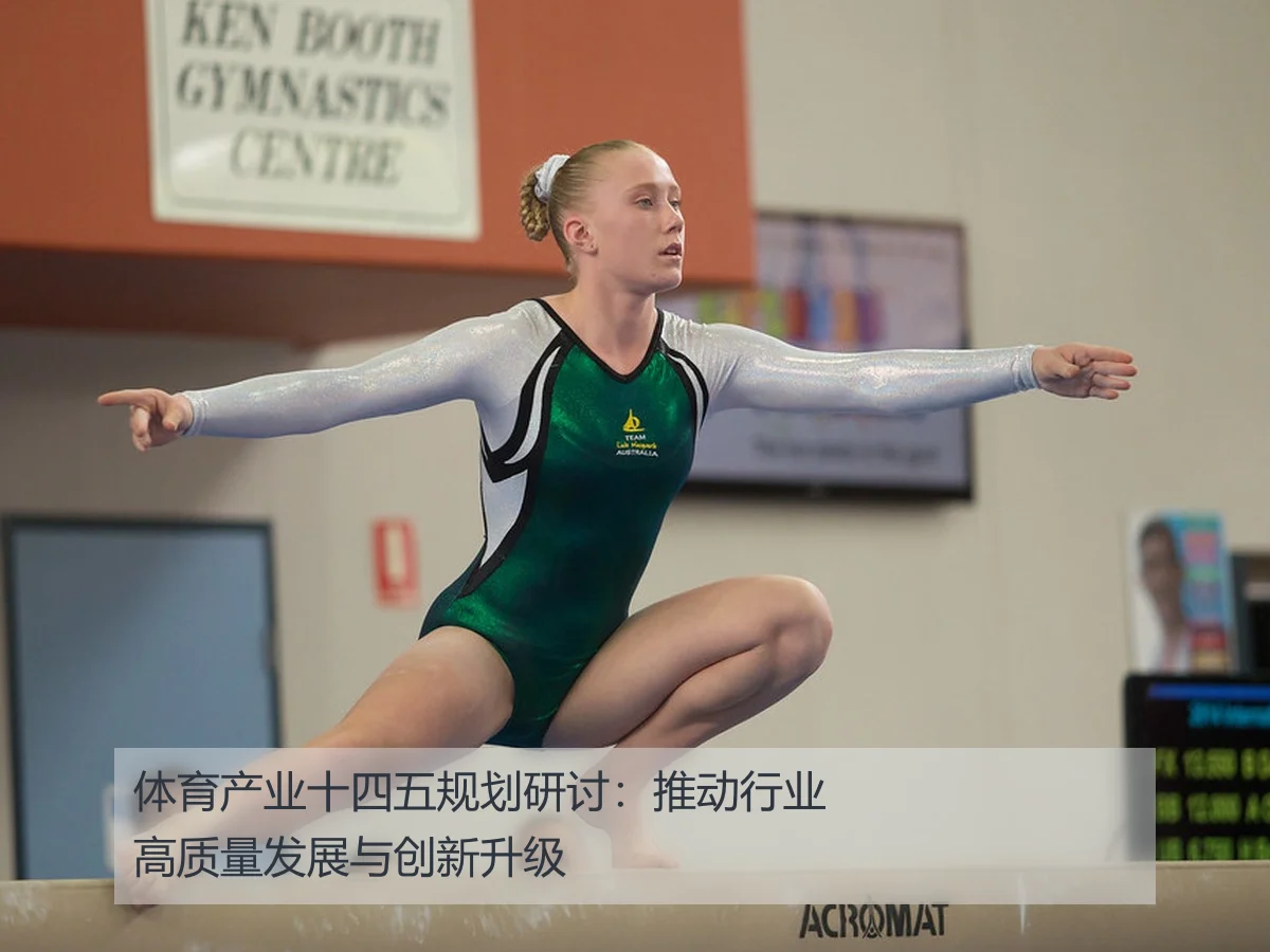 体育产业十四五规划研讨：推动行业高质量发展与创新升级